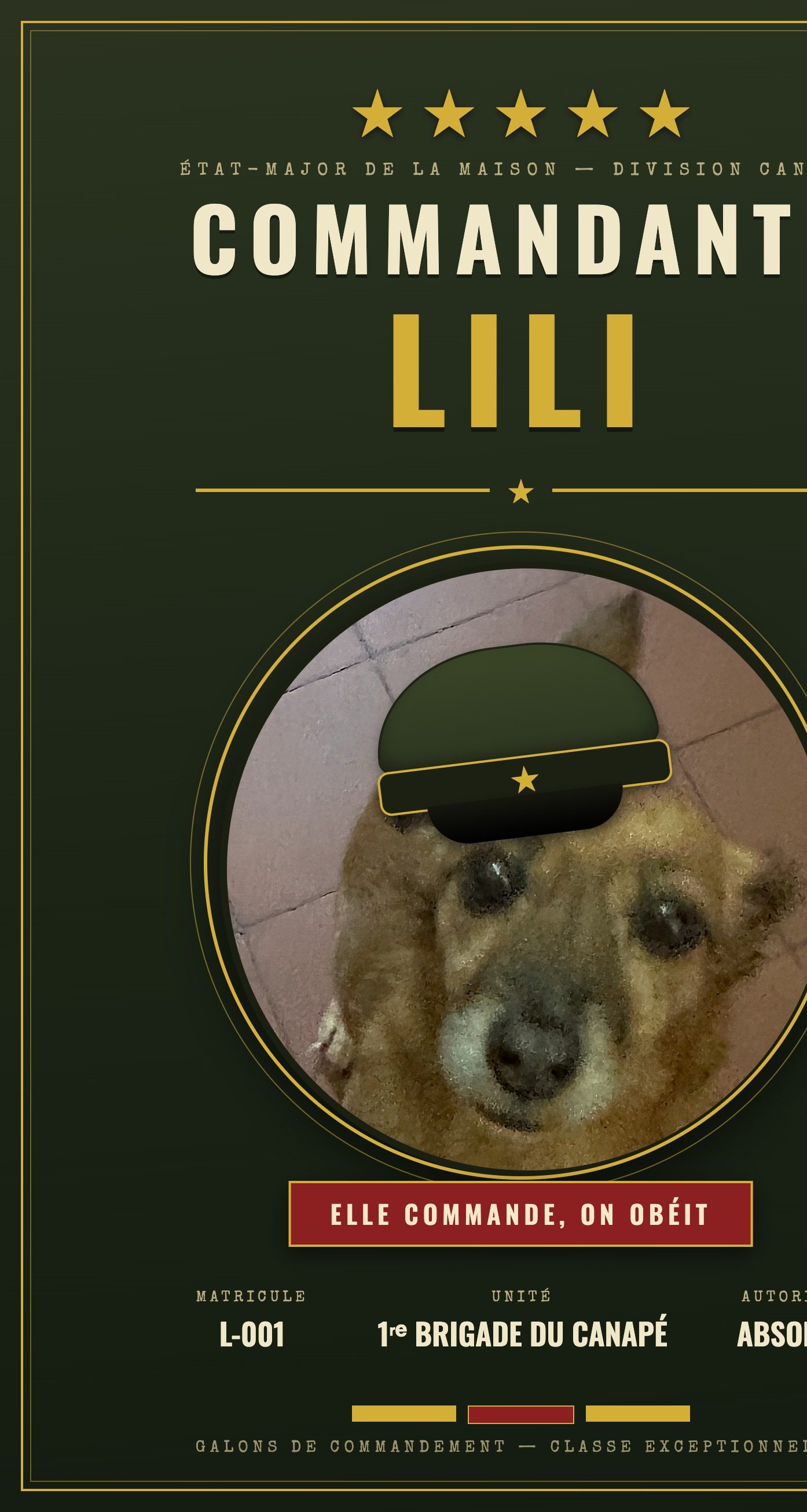 Lili commandante