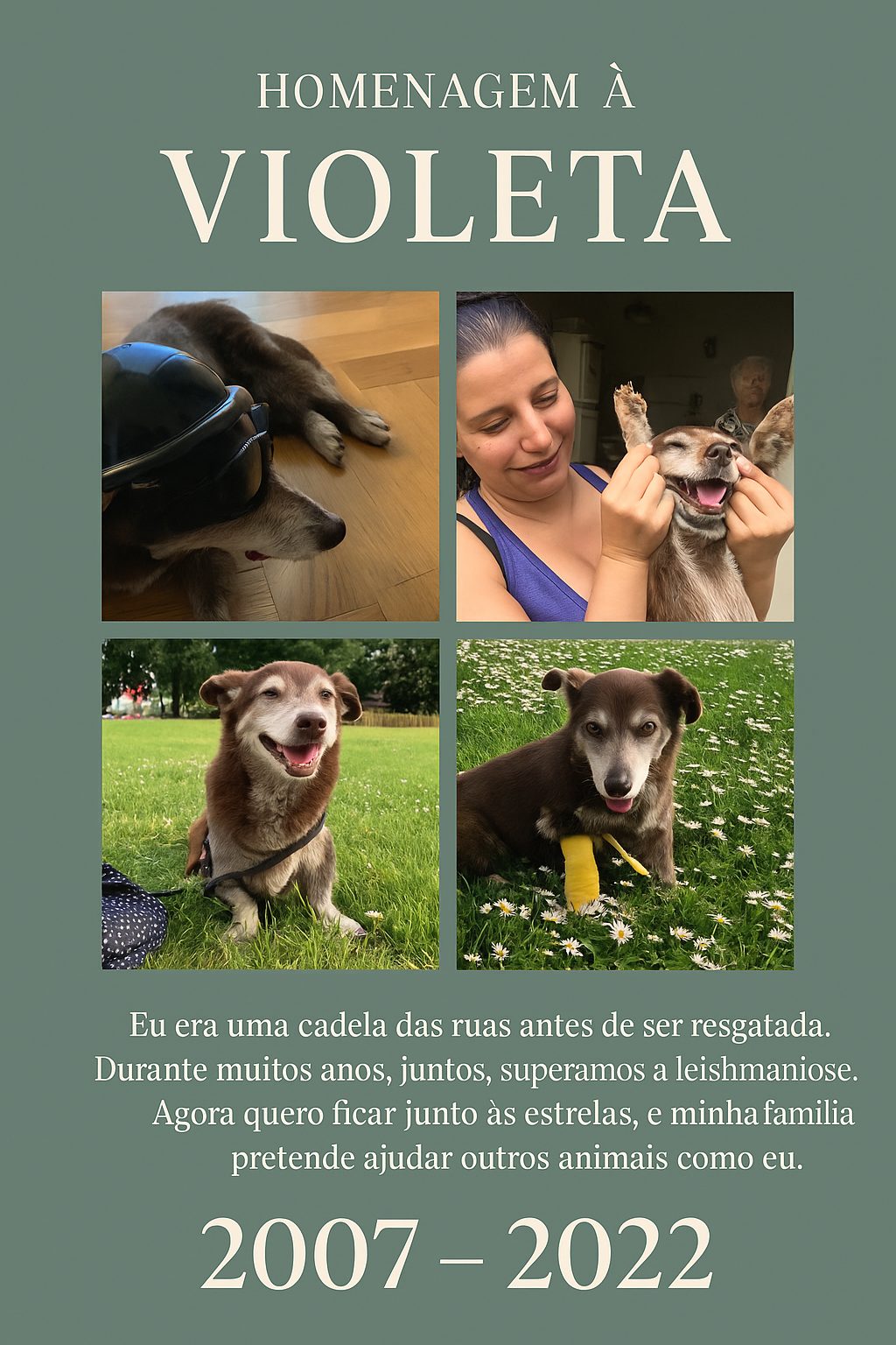 Violeta