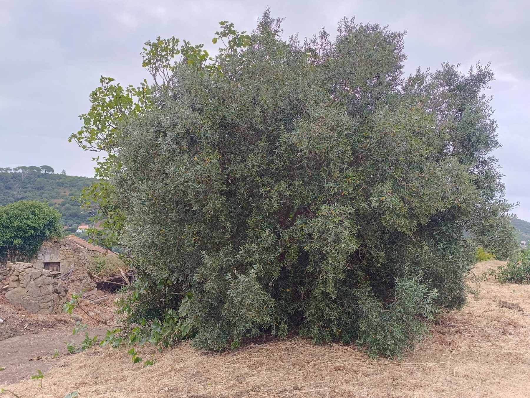 le terrain aujourd'hui