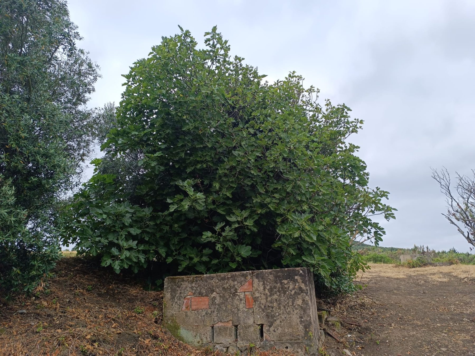 le terrain aujourd'hui