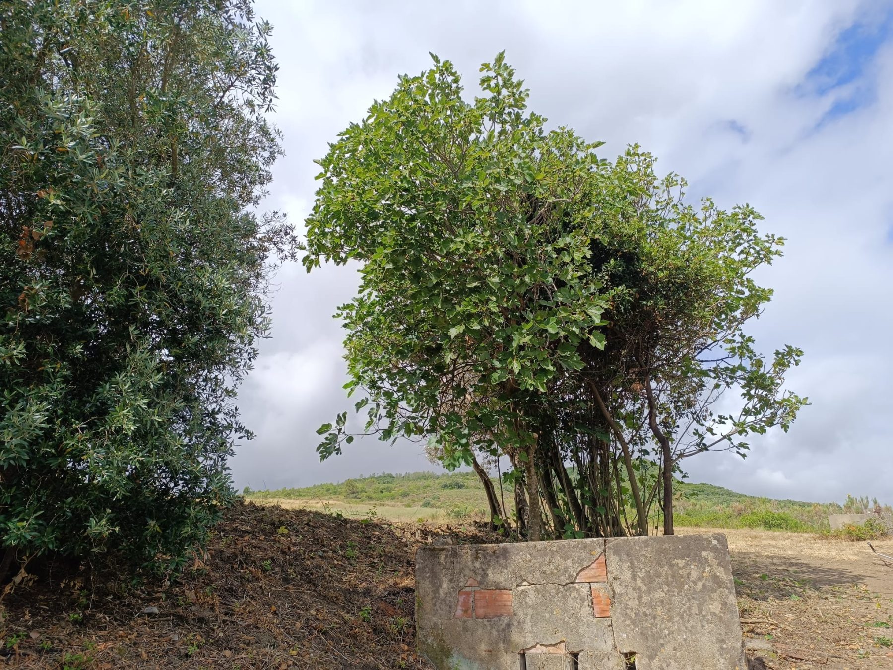 le terrain aujourd'hui